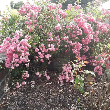 فندق مبيت وإفطار Atlantic House