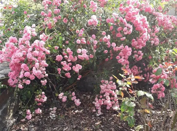 Bed and breakfast Atlantic House